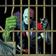 Illustration for article titled Top Ten Spider-Man Villains to Adapt to Live Action